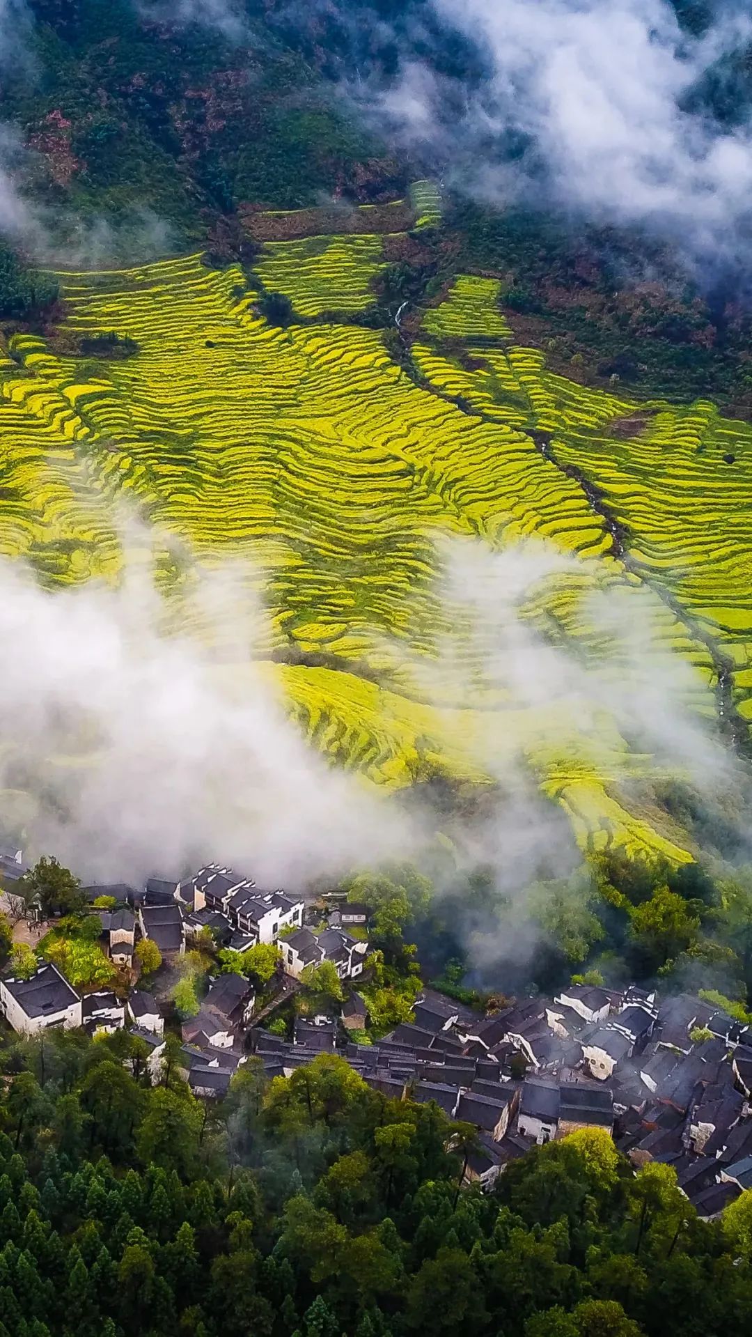 红色足迹，绿色家园——江西印象
