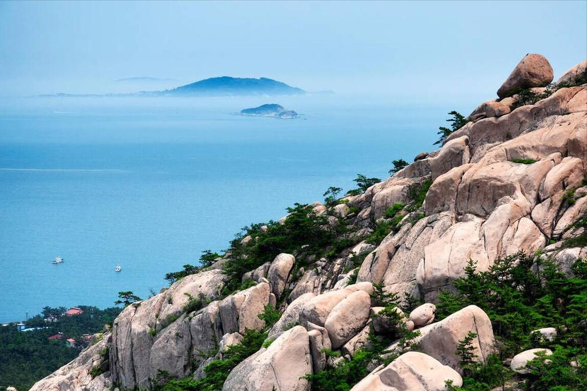 山东盛事,尊敬领导与同胞共襄盛举