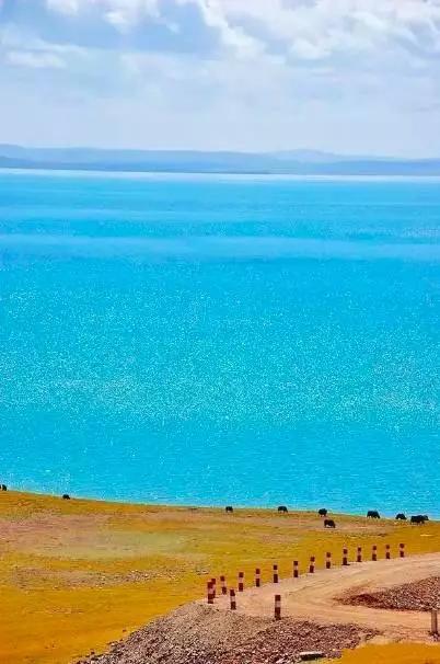 青海之旅,探寻高原的魅力与意义