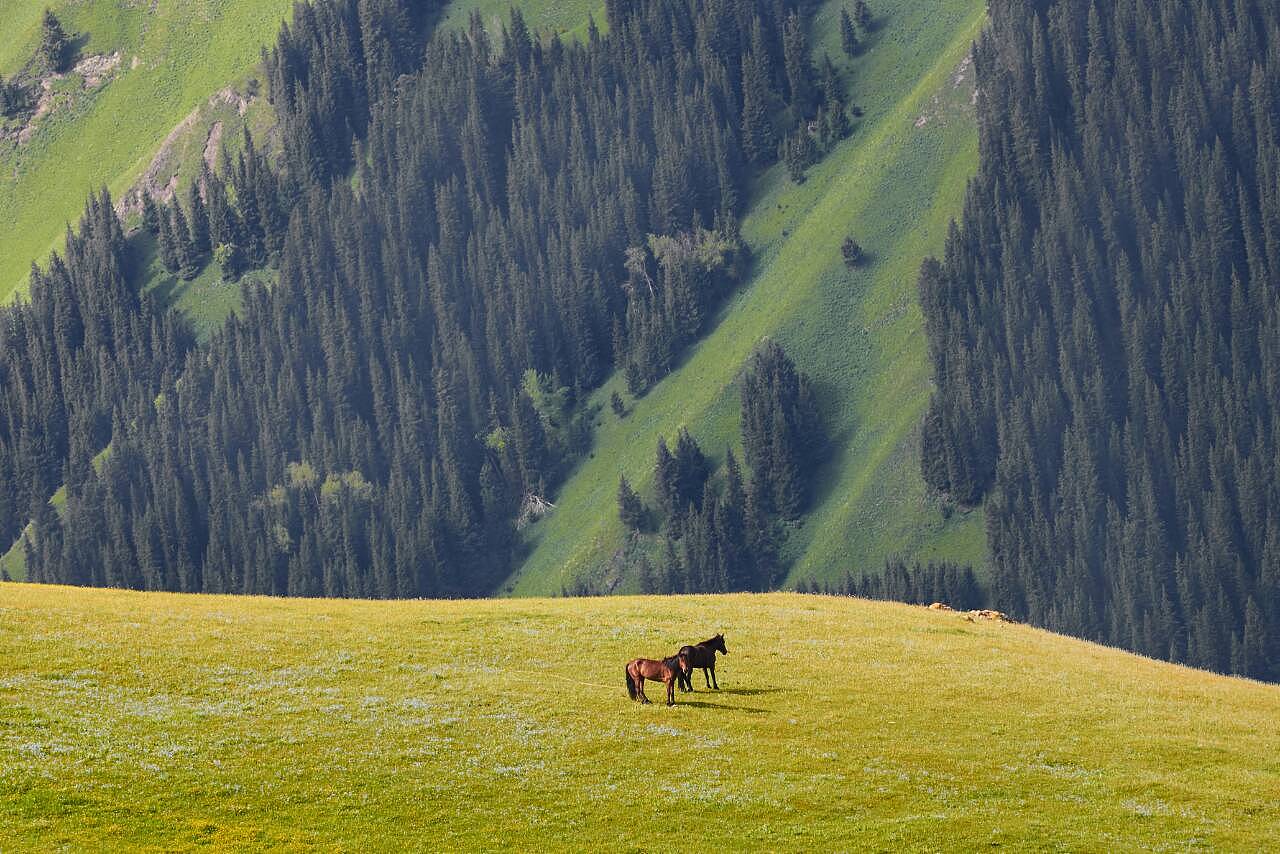 多元文化交融的边疆明珠——新疆